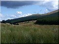 Campsie Fells, the little Carron valley