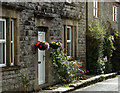 2011 : Hanging baskets in Queen