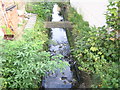 Swain Road: looking downstream at the crossing of the Norbury Brook