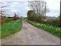 Driveway to Cilldara Stud