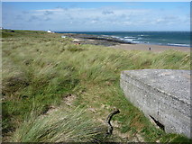 NU1735 : Coastal Northumberland : WW2 Pillbox Near North End Of Bamburgh Beach by Richard West