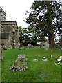 Stoke Hammond, St Luke: churchyard (4)