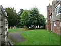 Stoke Hammond, St Luke: churchyard (5)