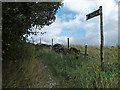 SD9710 : Bridleway to Ripponden Road, Denshaw by michael ely