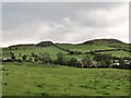 Grazing land south of the Tamnaharry Hill Road