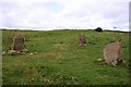 Park of Tongland Standing Stones