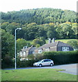 Woodland Avenue and a woodland view, Llanfoist