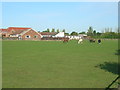 Grazing land off Green Lane