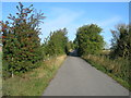 Track towards Highfields Country Park