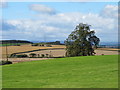 Farmland south of High Seat