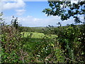 TQ6464 : Rural view near Meopham Green by Marathon