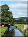 Mill Leat north of Tiverton