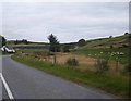 B992 climbing past Glenbrindy Cottage