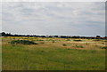 Rough grassland by the A4