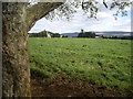 View towards Dunnideer Hill