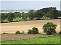 NZ1167 : Farmland west of Vindobala Roman Fort by Mike Quinn