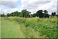 River Ingrebourne