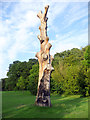 Tree struck by Lightning, Grovelands Park, London N14