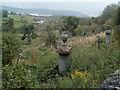 Weed-choked graveyard adjacent to World Heritage Centre, Blaenavon