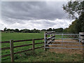 TF4265 : Gated Pen and field near Halton Holegate by J.Hannan-Briggs