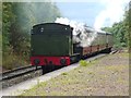 NS9881 : Steam train at Kinneil Halt by Lairich Rig