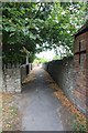 Lane to the cemetery