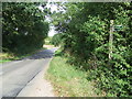 Footpath Sign and Road