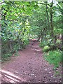 The footpath to the summit of Beacon Hill