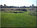 Path within Fenlake Meadows Local Nature Reserve