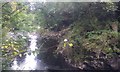 River near Netherton