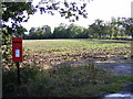 Crossroads The Green, Henham Postbox