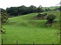 Hillside below Green End Farm