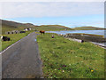 Main road, Vatersay