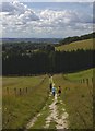 Towards Woo Dale Farm