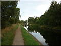 Rushall Canal, Daw End Branch