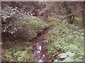 Stream on Arbrook Common, Claygate