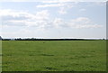 NU2026 : Farmland, Tughall by N Chadwick
