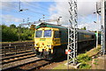 A freightliner heads SE from Wembley Yard