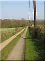 Greensand Way near Rooks Hill Farm