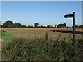 Footpath sign in Piccotts Lane near Great Saling