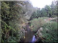 River Chelmer near Flitch Way, Dunmow