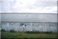 Glasshouses by the West Coastway Line