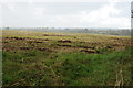 Farmland near Milton