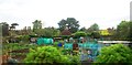 Allotments by the railway line