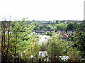 Houses on Clarence Way, Wribbenhall