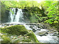 Pont-rhyd-goch lower falls