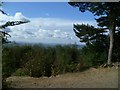 The viewpoint on Reynards Hill