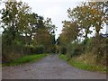 Approach road to Peradon Farm