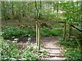 Barrier at footpath and bridleway junction in Winterfold Wood