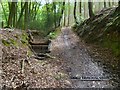 Drainage channel in Winterfold Wood